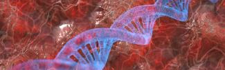 DNA picture